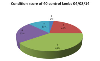 Control group no Diature™ in feed