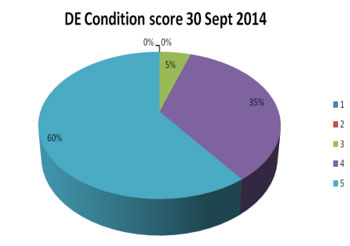 Condition Score : DE - September