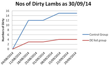 Nos. Of scouring lambs in control + DE group